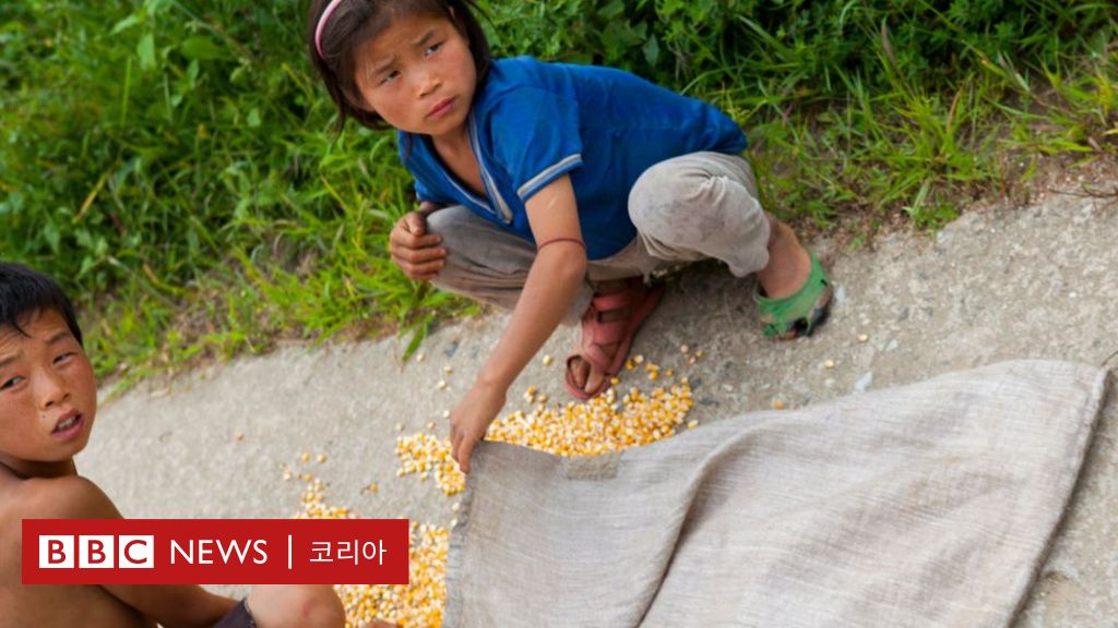 북한 식량부족 국제사회 원조에 대한 북한의 투명한 집행 결의 필요 Bbc News 코리아 