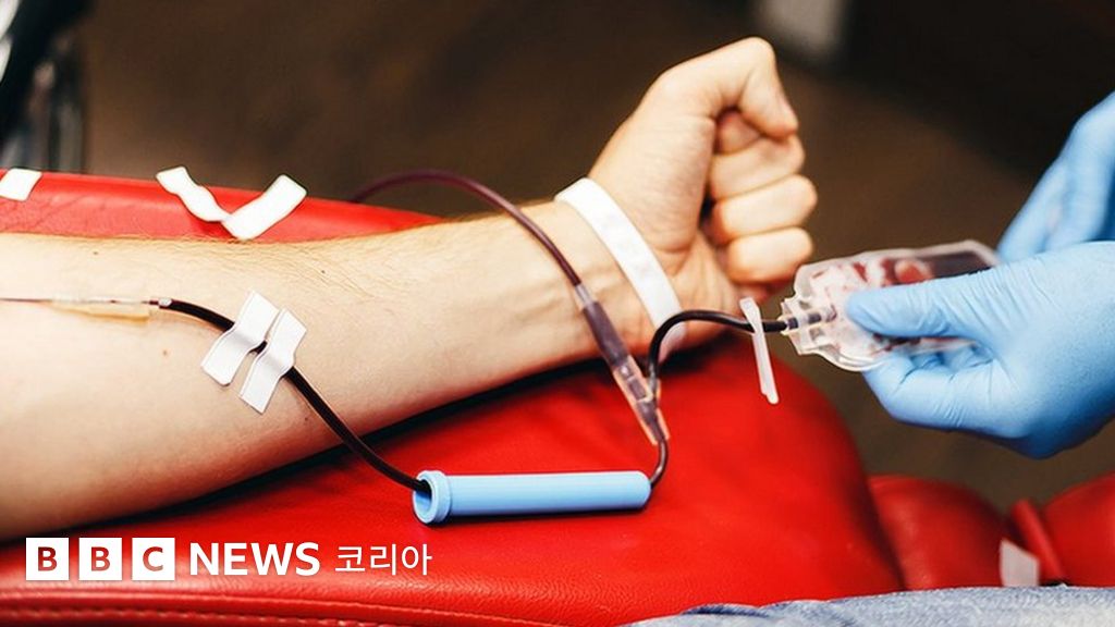 헌혈의 날: 우리가 헌혈에 대해 잘못 알고 있던 것들 - BBC News 코리아