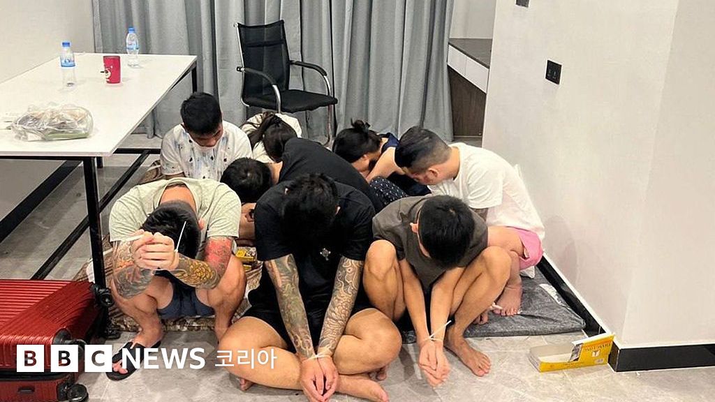 캄보디아 스캠 단속 현장