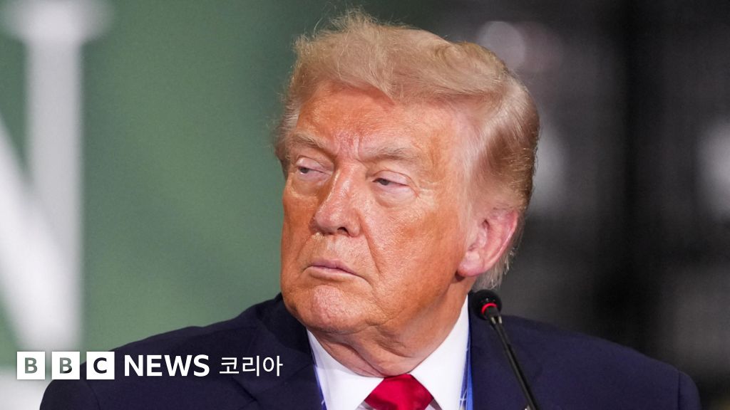 트럼프, '선거 조작' 주장 둘러싼 공방 끝에 인터뷰 돌연 중단