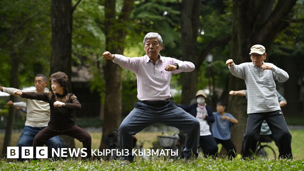 Минет және есектер