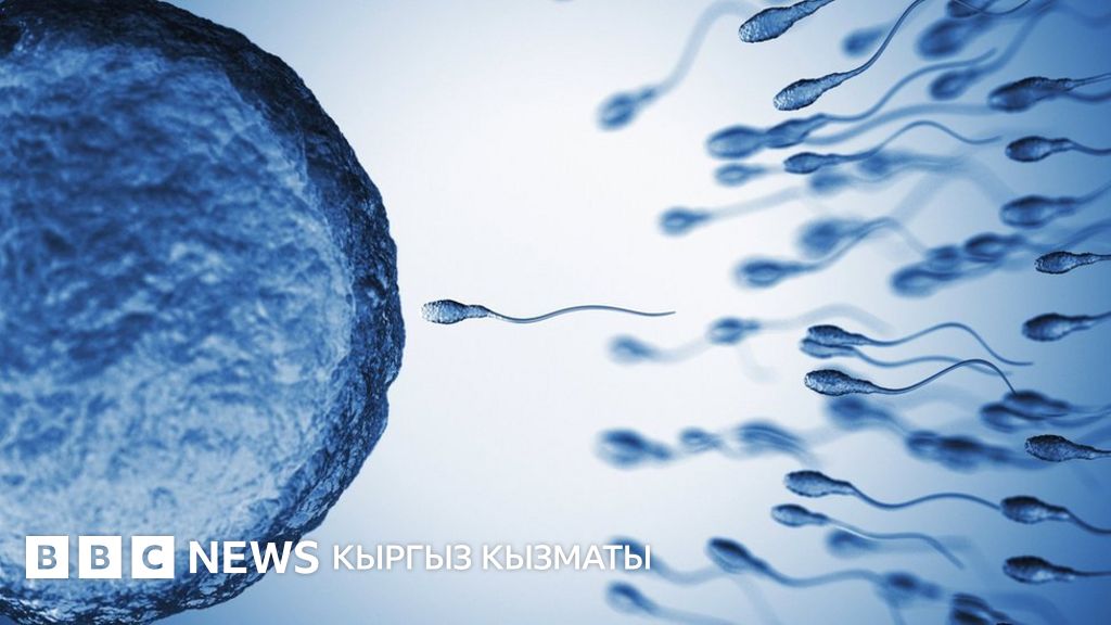 Жалаңаш жапон есектер