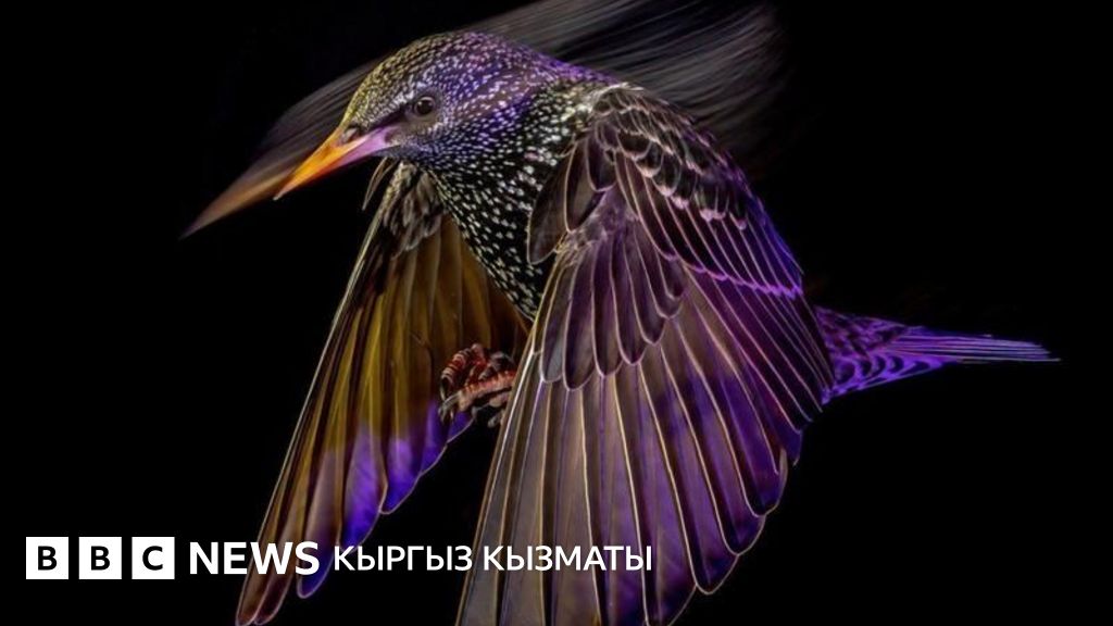 Неліктен жігіттер спермы?