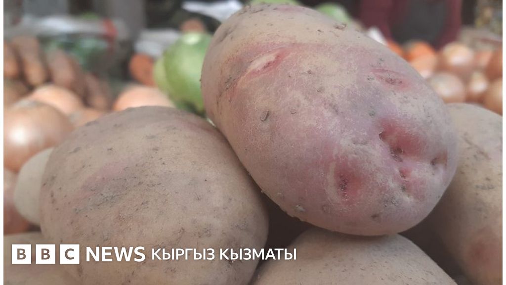 Базар баасы: 4 килограмм картошкага татылган 1 литр солярка - BBC News ...