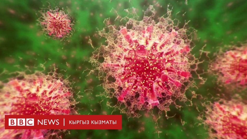 Covid-19: жаңы коронавирус тууралуу үч факты - bbc news кыргыз кызматы