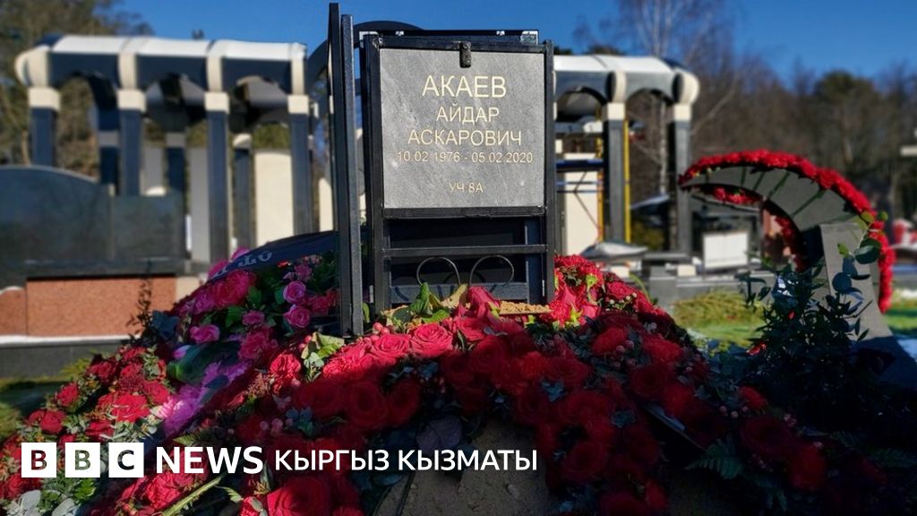 BBC News bbc-news