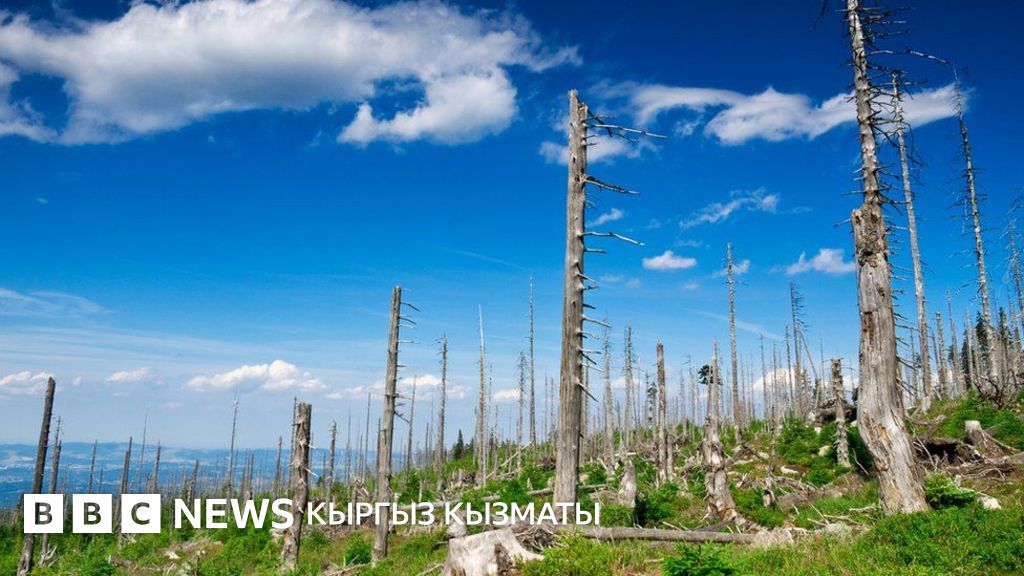 Людмила Зыкинаның эротикалық суреті