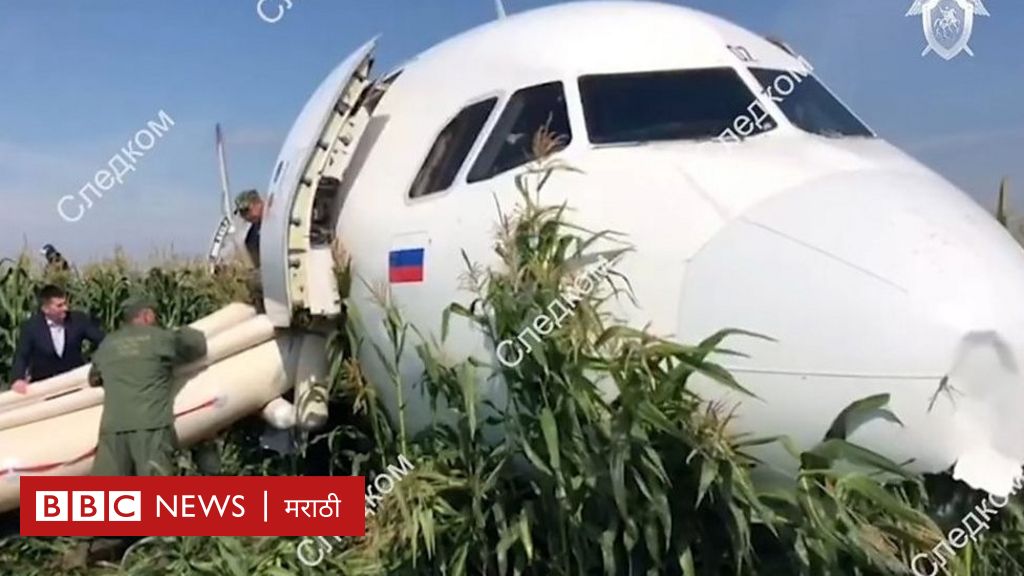 Russia Ural Airline: पायलटच्या दक्षतेमुळे 223 प्रवाशांचं सुरक्षित लॅंडिंग - पाहा व्हीडिओ