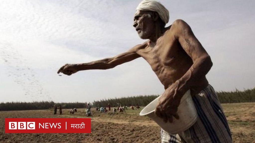 अर्थसंकल्प 2019: नरेंद्र मोदी सरकार शेतकऱ्यांचं उत्पन्न दुप्पट कसं करणार?