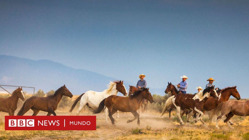 5 destinos turísticos que pueden "suplantar" a sitios emblemáticos de EE.UU. ante las restricciones de Trump a los viajeros (y cuál está en América Latina)