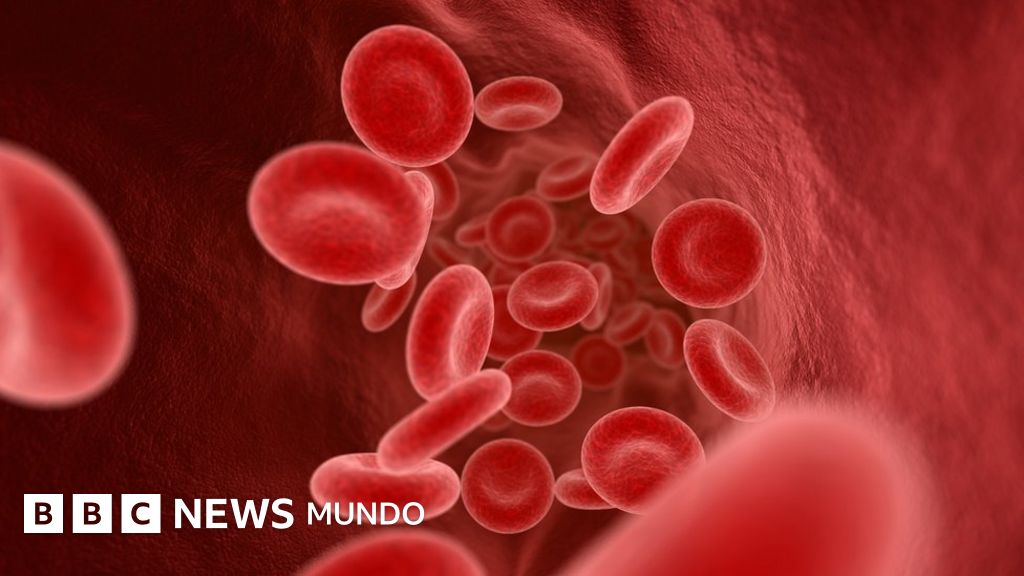 ¿Qué sucede cuando hay parásitos en la célula?