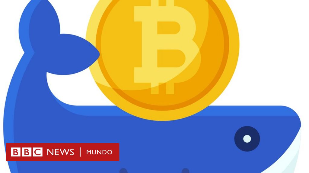 Quiénes son los "inversores camarón" y "ballena" que intentan salvar al bitcoin de la debacle