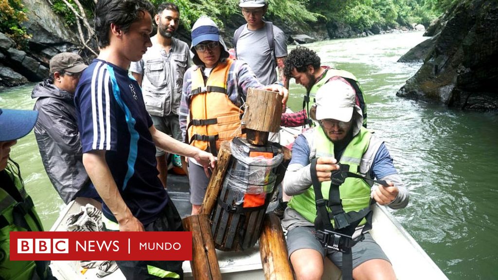 Model matematyczny wykorzystany do znalezienia ciał zaginionych w rzekach Kolumbii