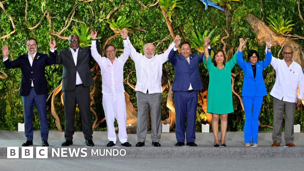 Los desencuentros entre los países que comparten el Amazonas que frustraron un acuerdo importante para proteger la selva