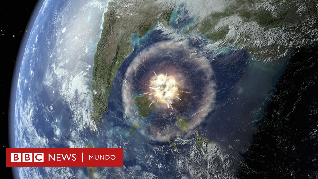 Cómo el asteroide que mató a los dinosaurios hizo nacer el bosque tropical  de la Amazonía - BBC News Mundo