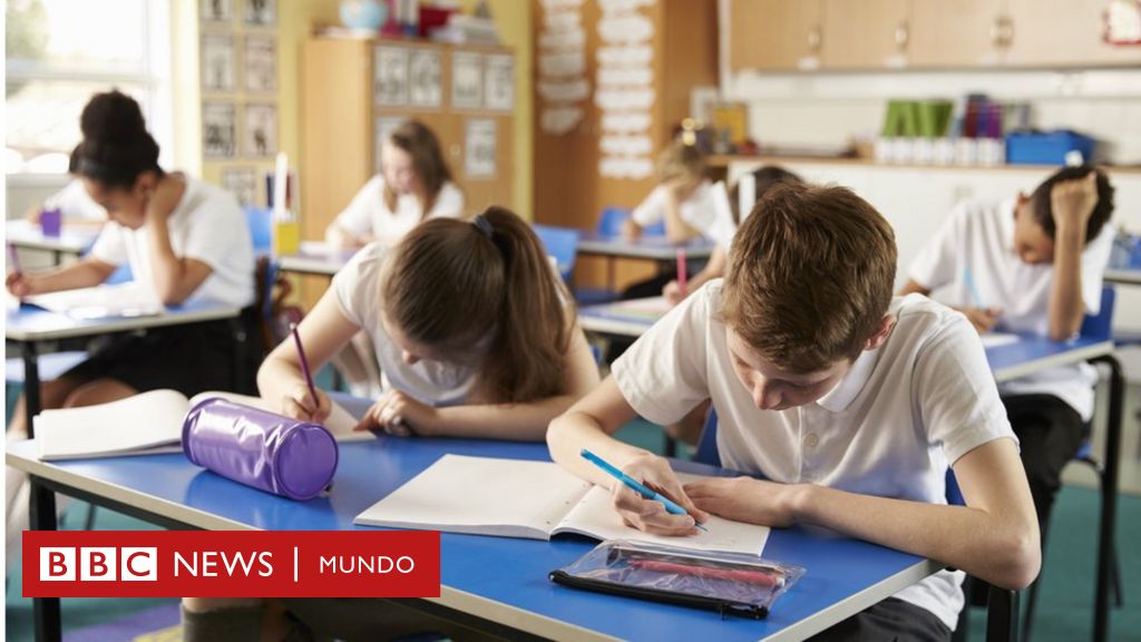 Cuál debe ser la prioridad de los colegios en sus sistemas educativos? -  BBC News Mundo