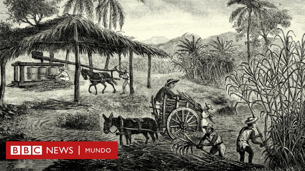 La historia de los 1.700 gallegos que emigraron a Cuba buscando fortuna y acabaron de esclavos en las plantaciones de azúcar