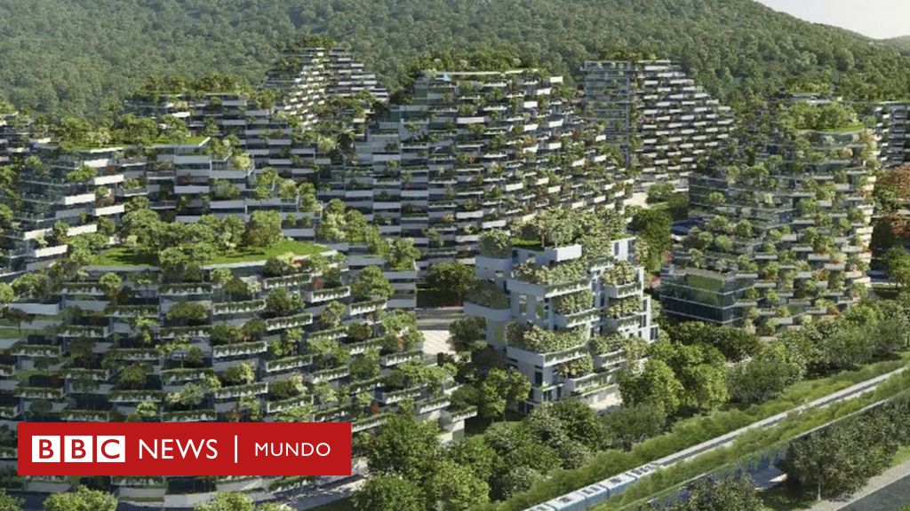 La ciudad con 40.000 árboles que China quiere construir para reducir la  contaminación - BBC News Mundo