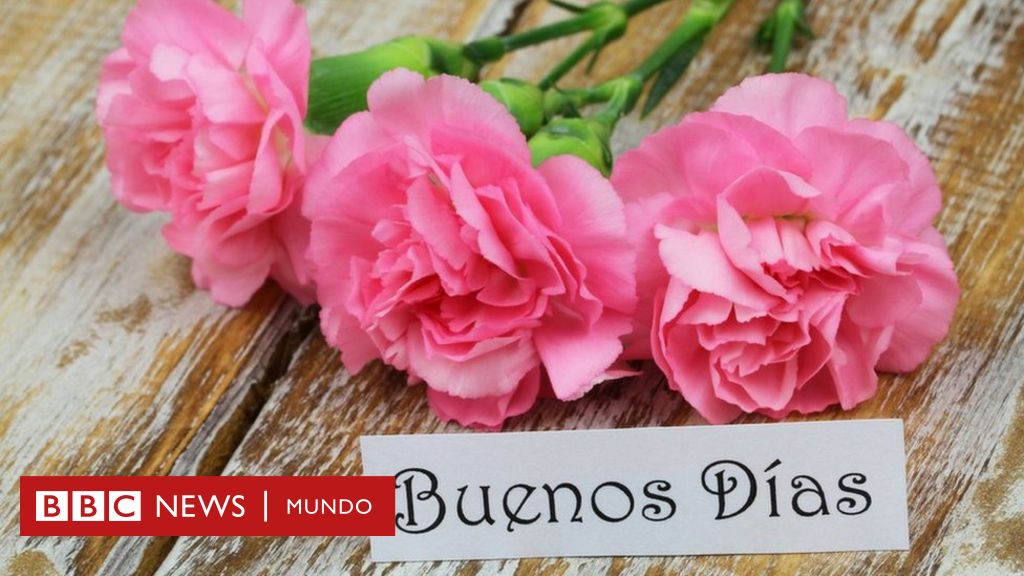 Por qué en español decimos buenoS díaS o buenaS nocheS en plural (y no en  singular como las demás lenguas) - BBC News Mundo