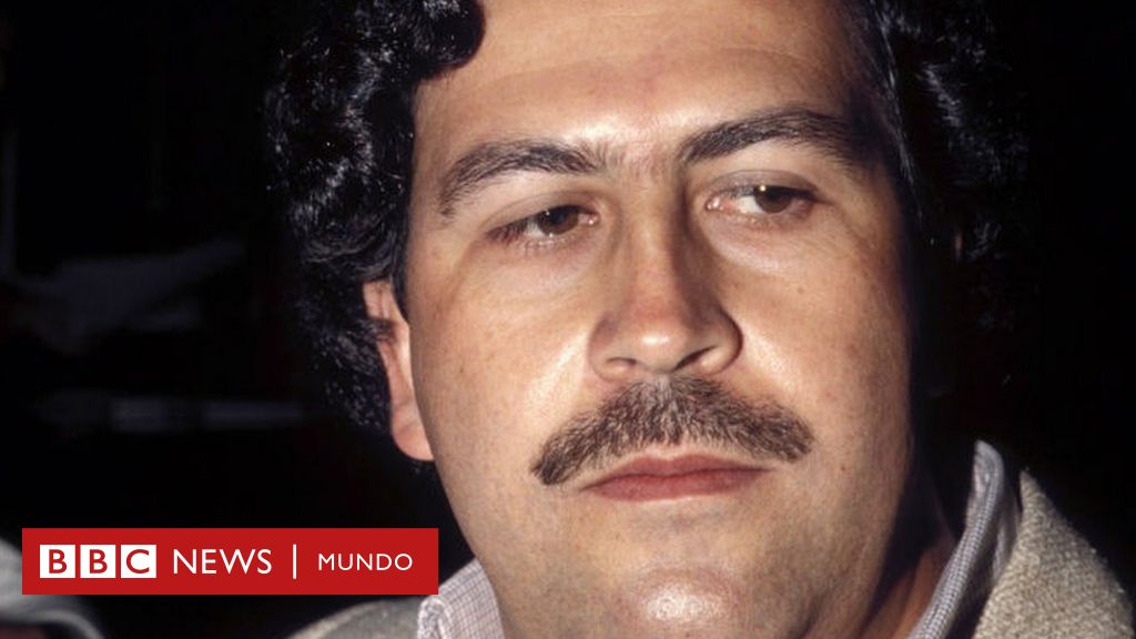 Por Qué Los Capos Narcos Como Pablo Escobar Y Joaquín El Chapo Guzmán Son Una Especie En