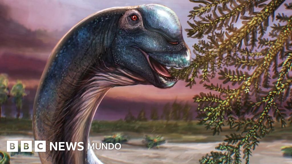 Nagatitán: identifican un nuevo dinosaurio gigante a partir de fósiles en Tailandia