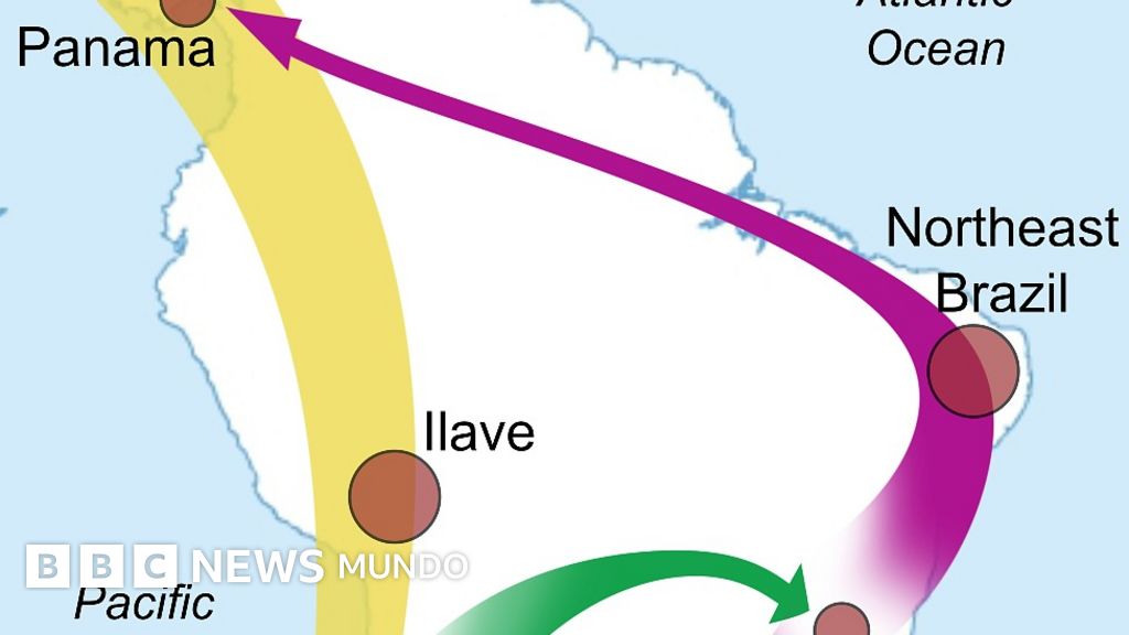Rastros de neandertales y denisovianos y una migración hace 1.500 años de Uruguay a Panamá: los sorprendentes hallazgos de un estudio sobre genomas antiguos de América