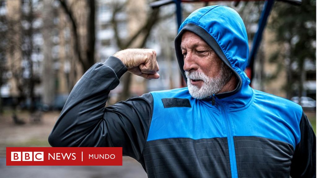 Mujeres Jóvenes En Ropa Deportiva Que Muestra Los Músculos Fotos