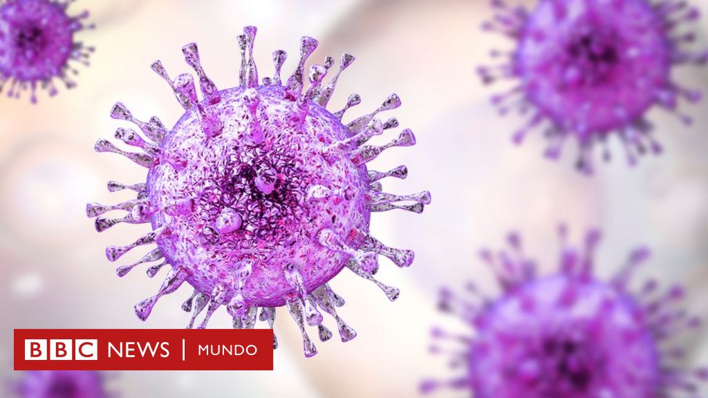 El Virus Que Es Más Peligroso Que El Zika Para Las Embarazadas Y Del ...