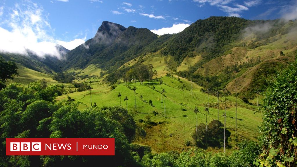 Alejandro Reyes: "En Colombia no hay un problema de tierras, hay 100 problemas de tierras"