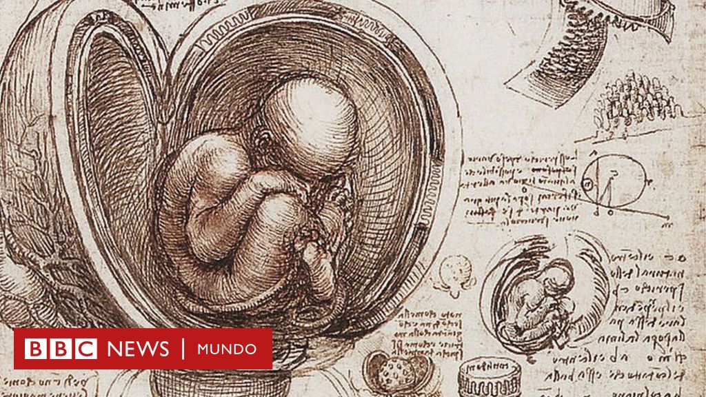 4 ideas con las que Leonardo da Vinci se adelantó a su tiempo - BBC News  Mundo