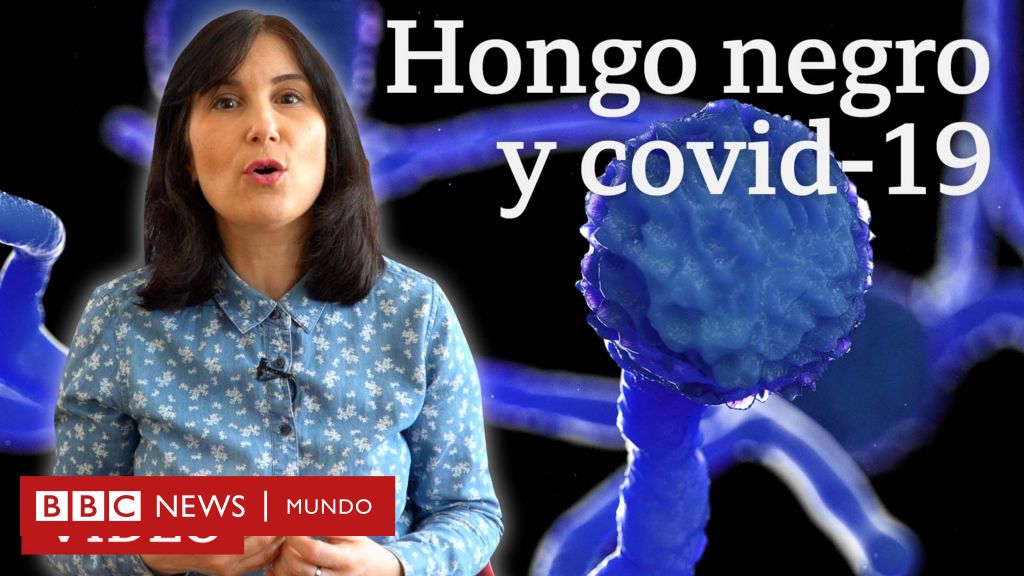 Hongo negro: 5 preguntas sobre la rara infección fúngica ...