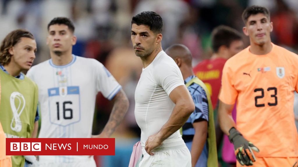 Mundo |  Uruguai perde por 2 a 0 para Portugal: do que a Celeste precisa para avançar às oitavas de final no Catar 2022
