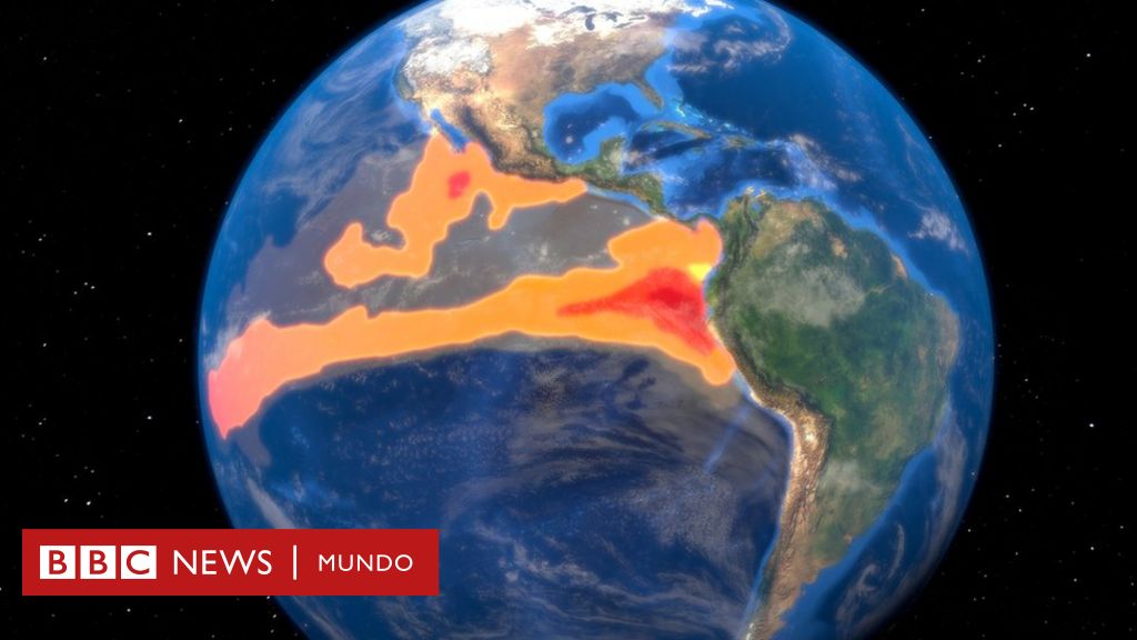 Jakie są konsekwencje silnego zjawiska El Niño, które naukowcy przewidzieli na nadchodzące miesiące?