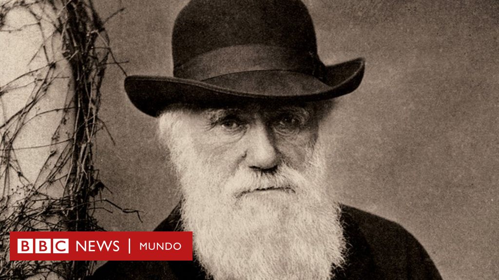 Charles Darwin La Misteriosa Desaparicion De Los Cuadernos Del Biologo Perdidos Desde Hace Anos c News Mundo