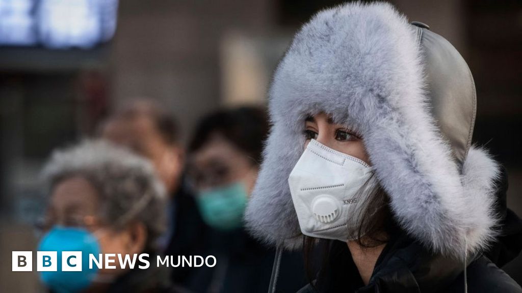 diferencia entre fiebre interna y externa diferencia entre fiebre interna y externa