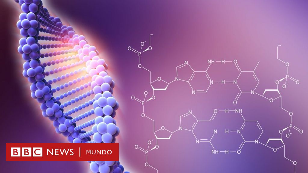 fingir Motear abuela CRISPR/Cas9: las serias advertencias de unos científicos sobre los peligros  de la técnica que revolucionó la genética - BBC News Mundo