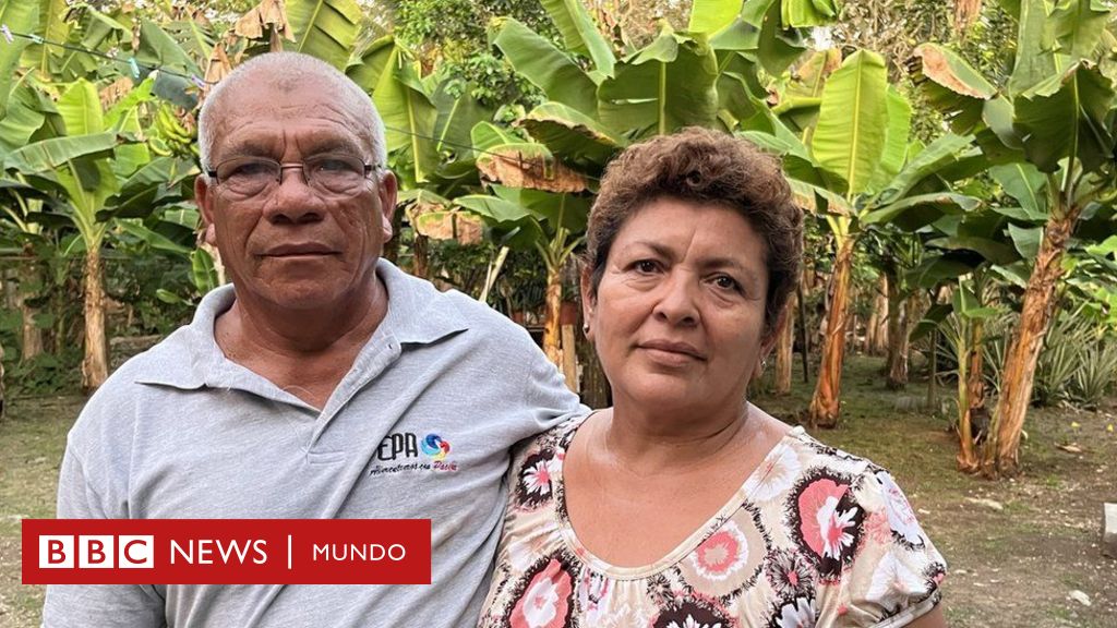 "Los pesticidas nos dejaron estériles”: la denuncia de miles de trabajadores bananeros en América Latina