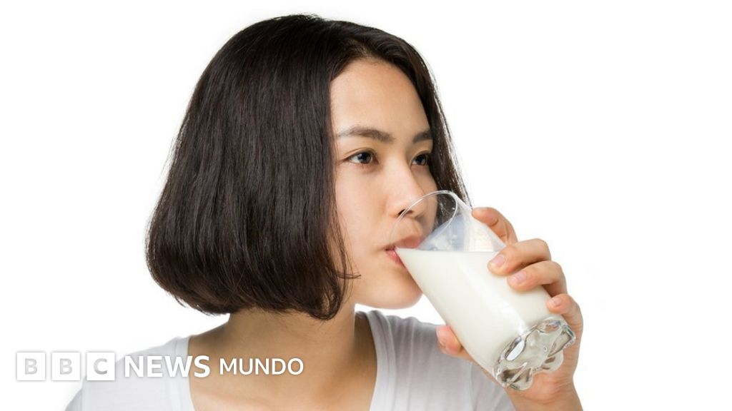 ¿Cuál es la cantidad recomendada de lácteos por día?