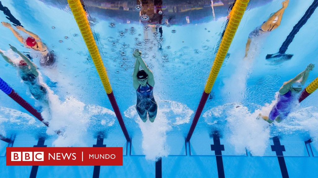 Cual Es El Estilo De Natacion Con El Que Quemas Mas Calorias Bbc