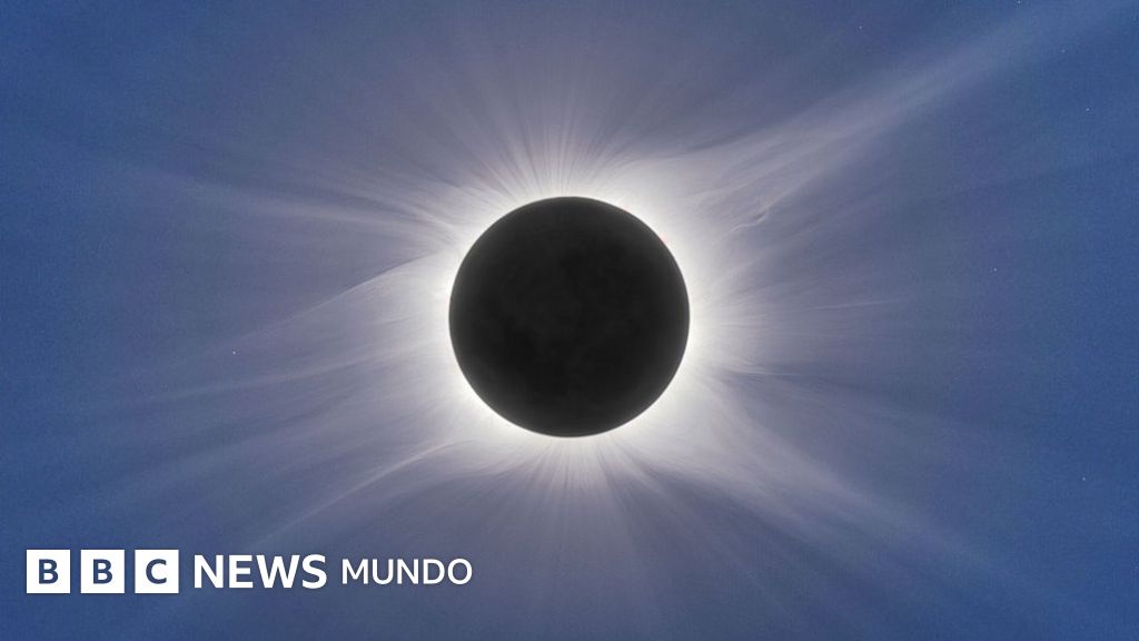 gafas de sol lacoste