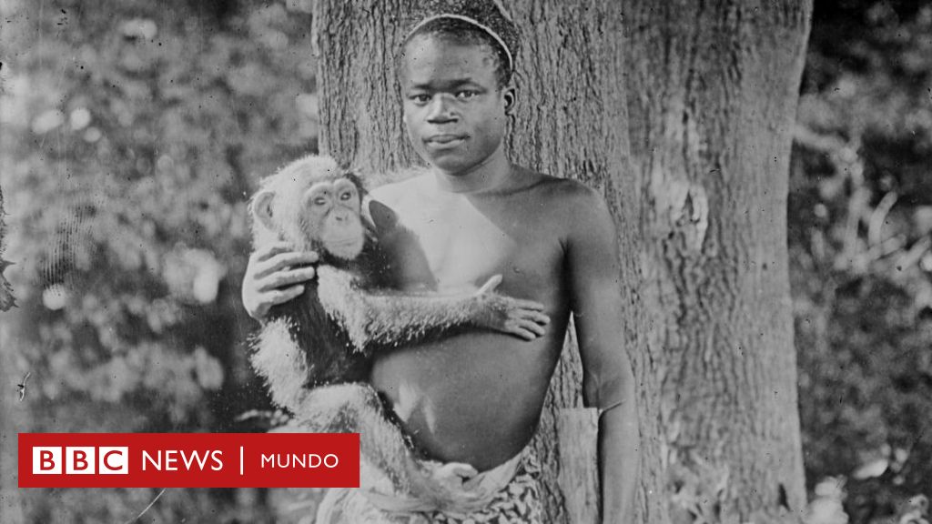 Ota Benga, el adolescente exhibido en una jaula de monos en . y las  disculpas 