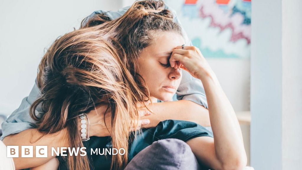 ¿Tiburón u osito de peluche? Cómo entender tu estilo para resolver conflictos puede ayudarte a superar peleas con amigos y familiares