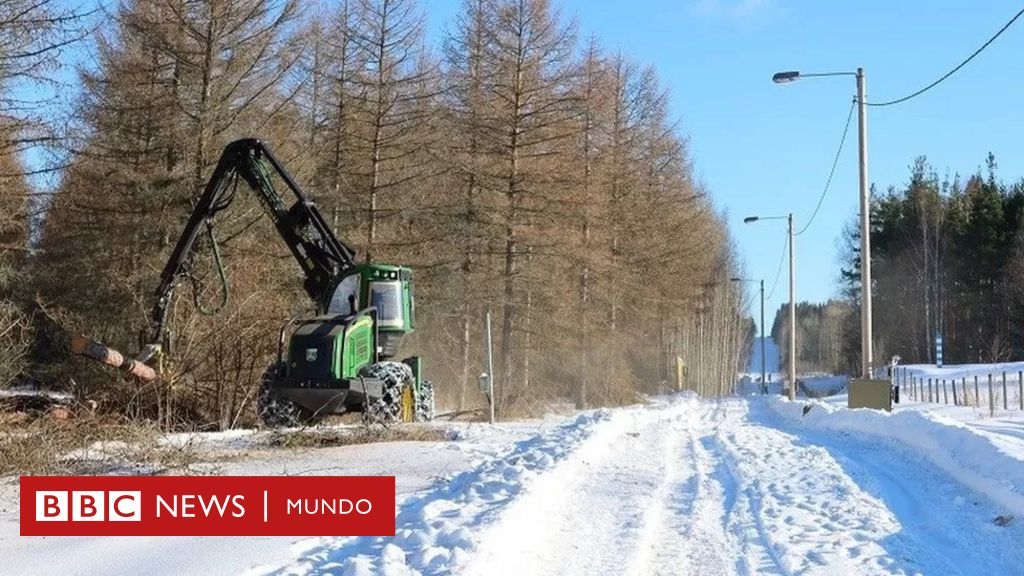 Wojna na Ukrainie: Finlandia rozpoczyna budowę ogrodzenia na granicy z Rosją, aby zapobiec napływowi migrantów