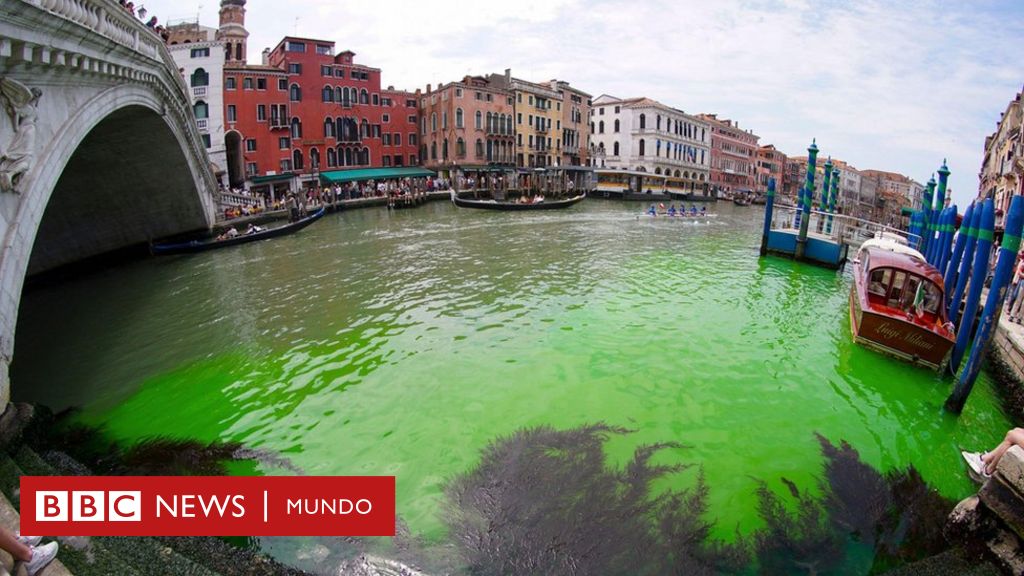 Descubren por qué las aguas se tornaron verde fosforescente en un tramo de los canales de Venecia