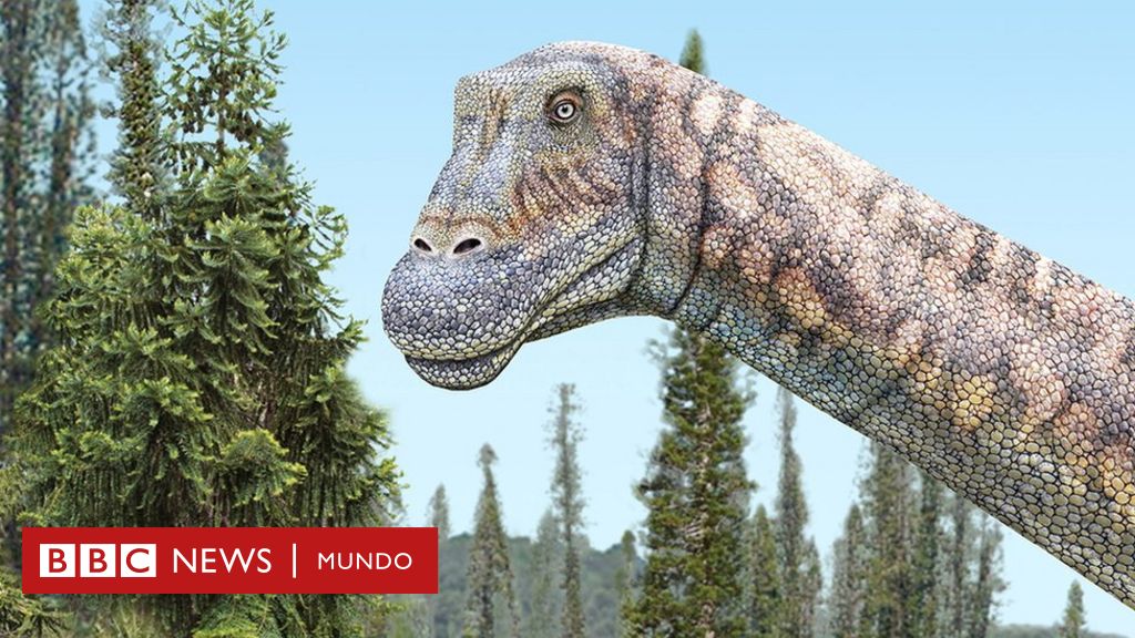 La nueva especie de dinosaurio descubierta en el desierto de Chile - BBC  News Mundo