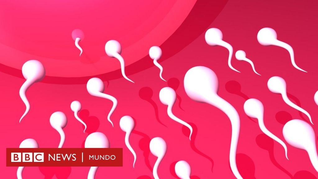 Por qué es un mito el que los espermatozoides nadan frenéticamente hacia el óvulo durante el proceso de fecundación