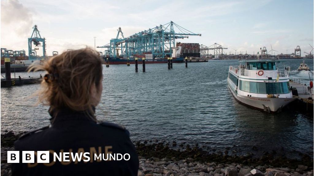 Cómo Amberes se convirtió en la puerta de entrada de la cocaína en Europa