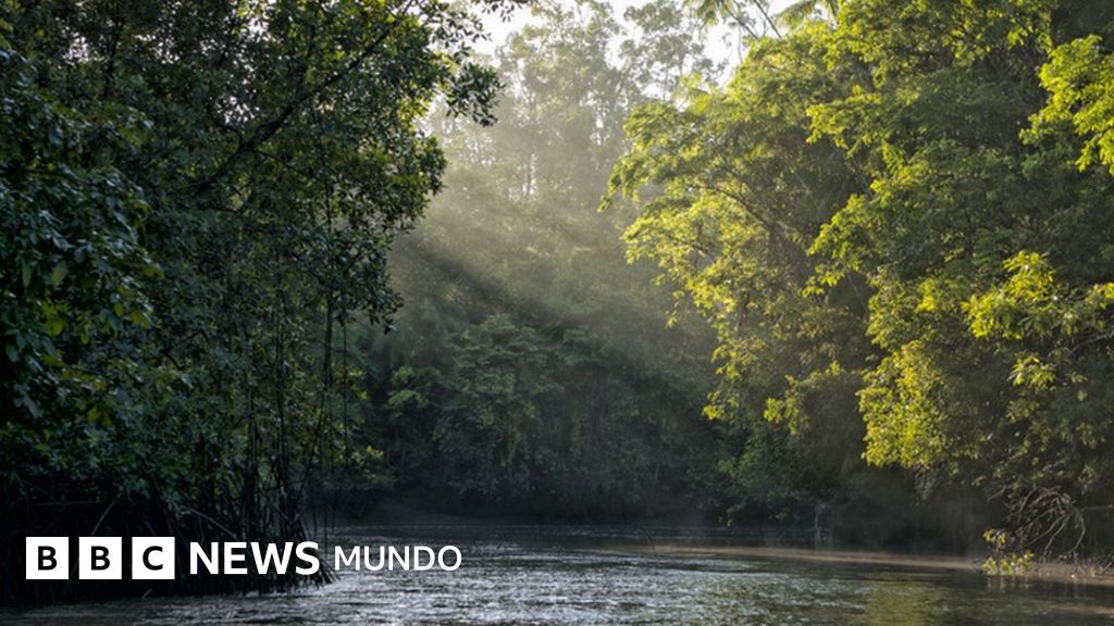 Ratanabá: por qué la leyenda de la ciudad perdida en el Amazonas "no tiene sentido", según un arqueólogo