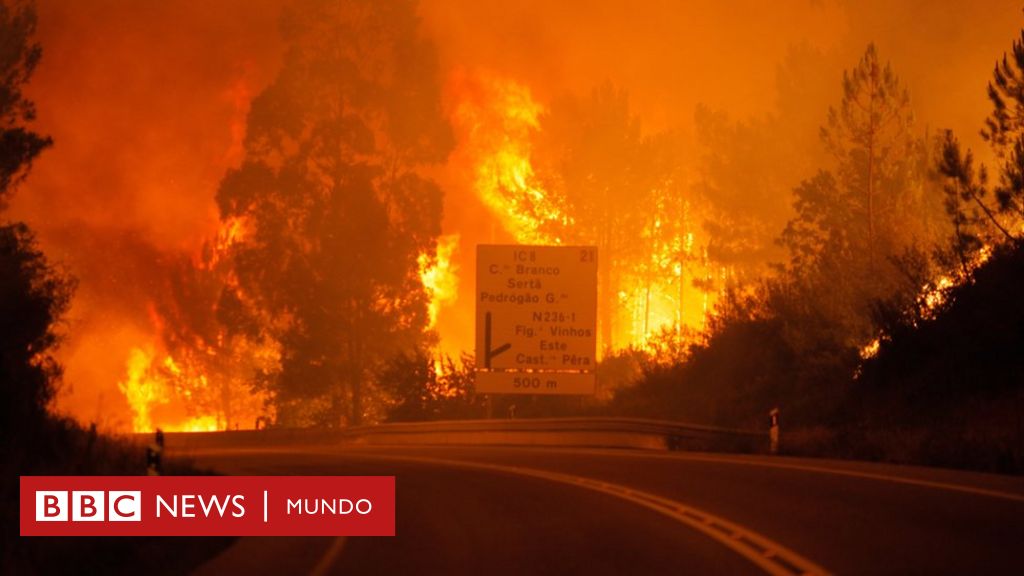 Pelo menos 61 mortos em incêndio florestal em Portugal