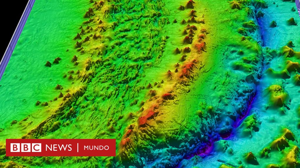 Qué Muestra El Ambicioso E Inmenso Mapa Del Fondo Marino Con El Que Esperan Conocer Las 5611